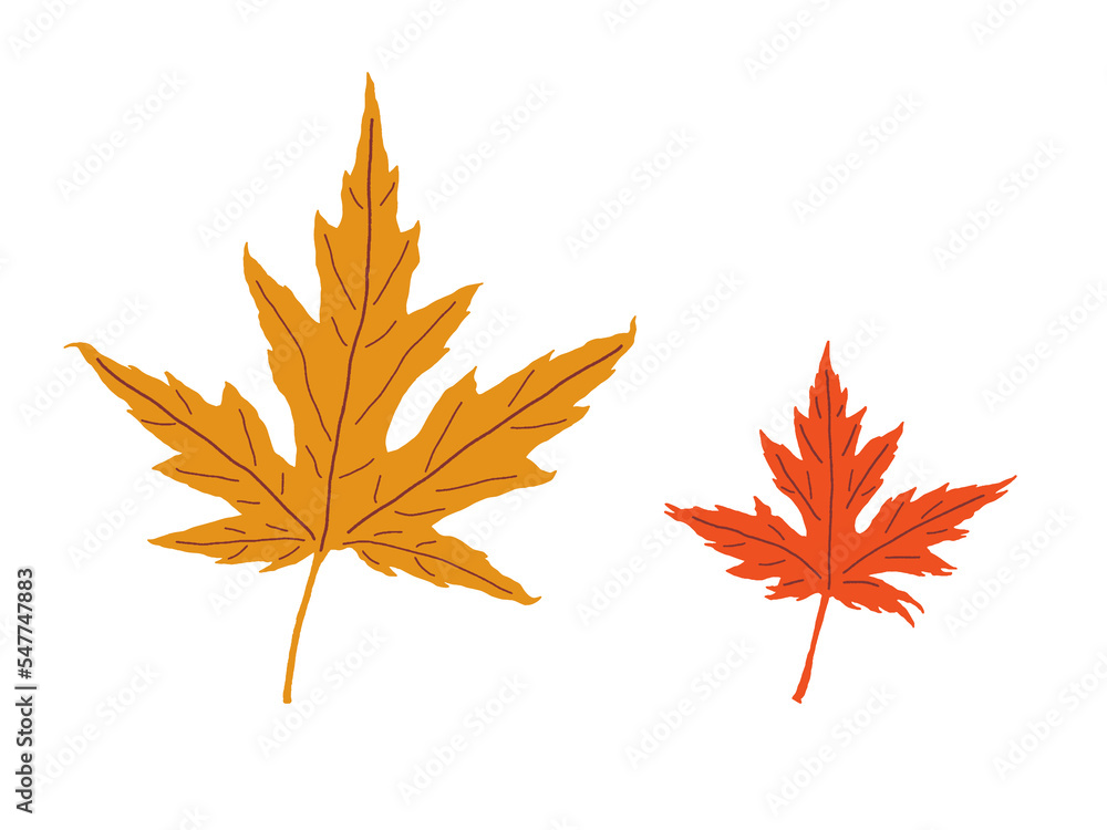 Maple leaves. Autumn season spot vector illustration Maple leaves. Autumn season spot vector illustration