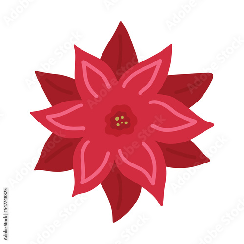 Poinsettia Christmas Star red flower - simple hand draw flat doodle. Vector illustration. Festive winter flower clip art element isolated on white