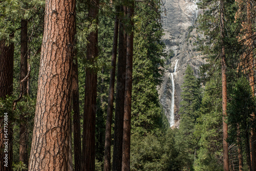 Yosemite Falls from Lower Yosemite Fall trail, Yosemite National Park, California, US © Hodossy