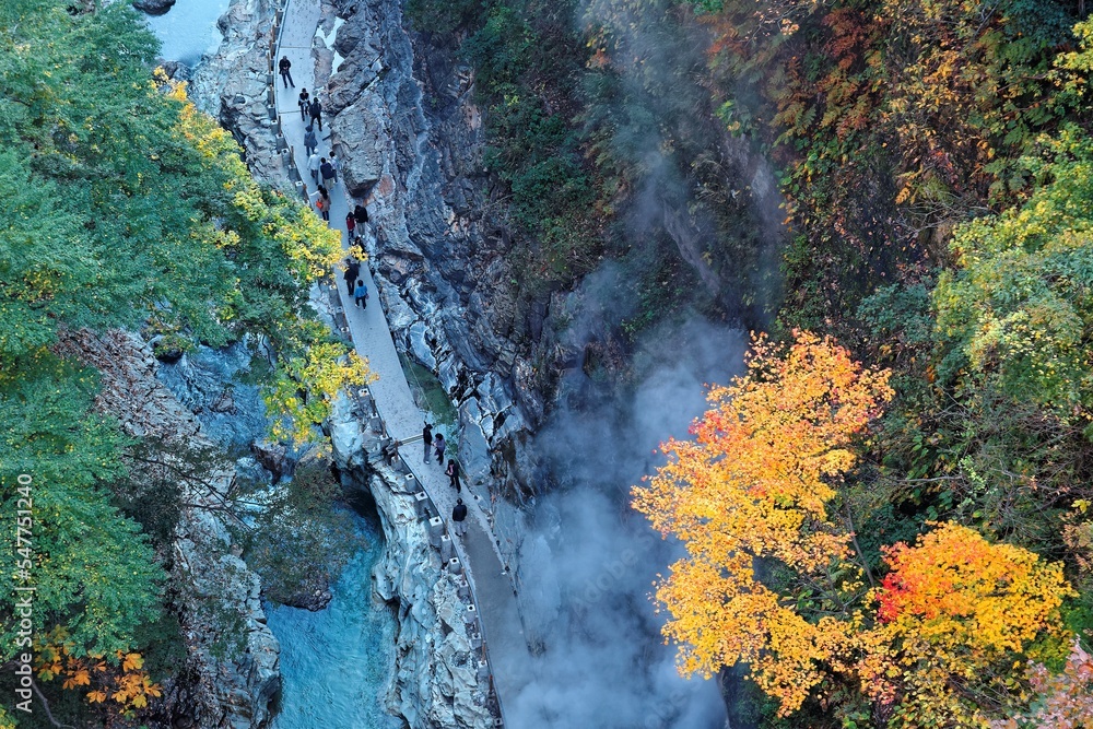 Aerial view of Oyasukyo Hot Spring Gorge in Akita, Japan, with colorful autumn trees on vertical rocky cliffs & tourists hiking by the stream at bottom of the valley ~ Beautiful fall scenery of Japan