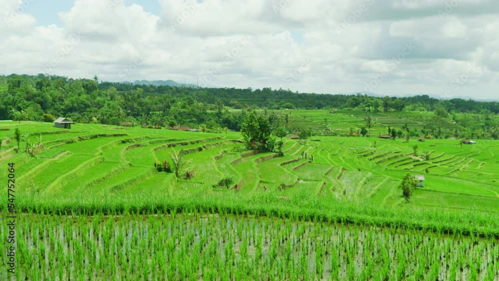 Panoramic view of Jatiluwih Rice Terraces, Bali, Indonesia Panoramic view of Jatiluwih Rice Terraces, Bali, Indonesia