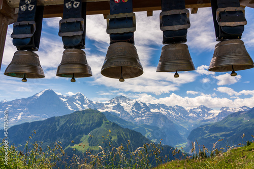 Cowbells in the Swiss Alps.