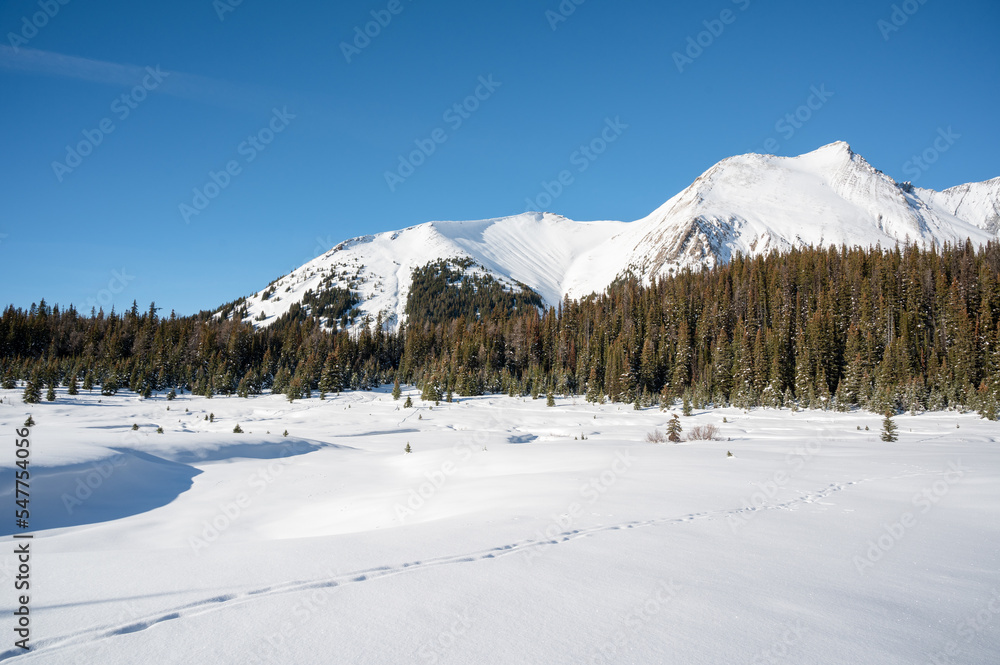 Animal tracks on frozen meadow surrounded by mountains and forests