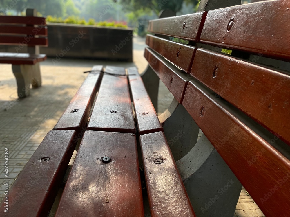 custom made wallpaper toronto digitalImage of plants and trees in park in morning