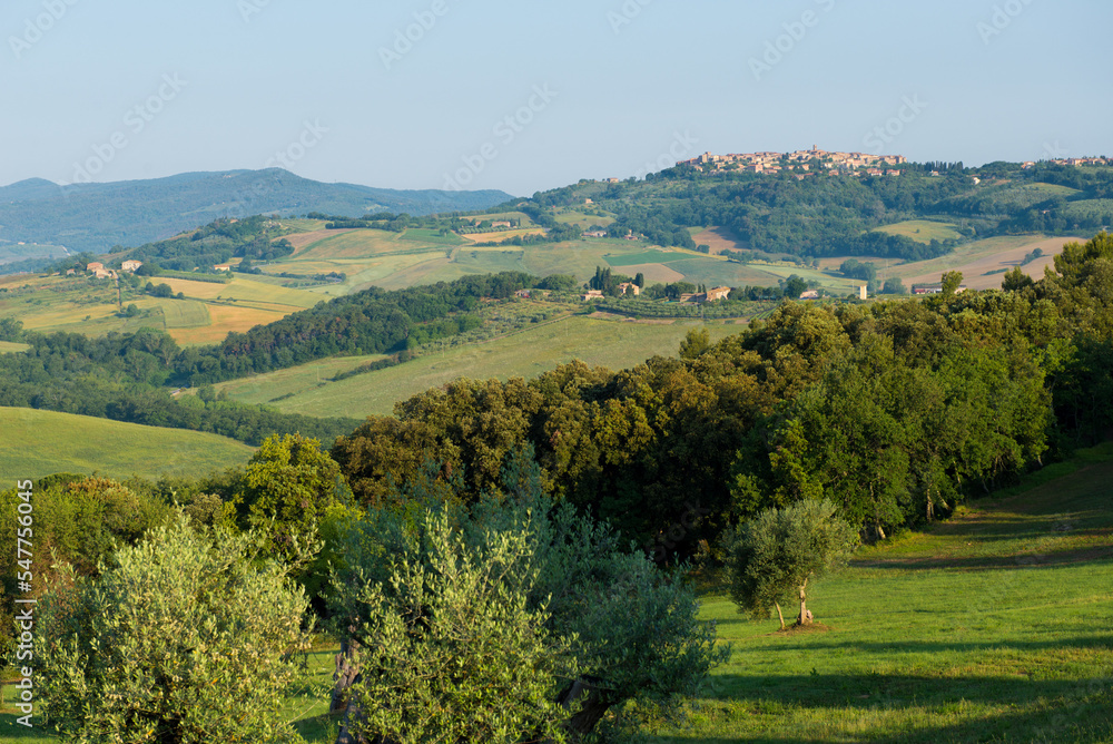 View of buildings on a hilltop in Tuscany, Italy.