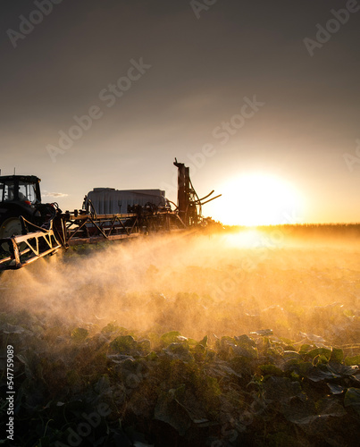 Tractor spraying vegetable field in sunset. © Dusan Kostic