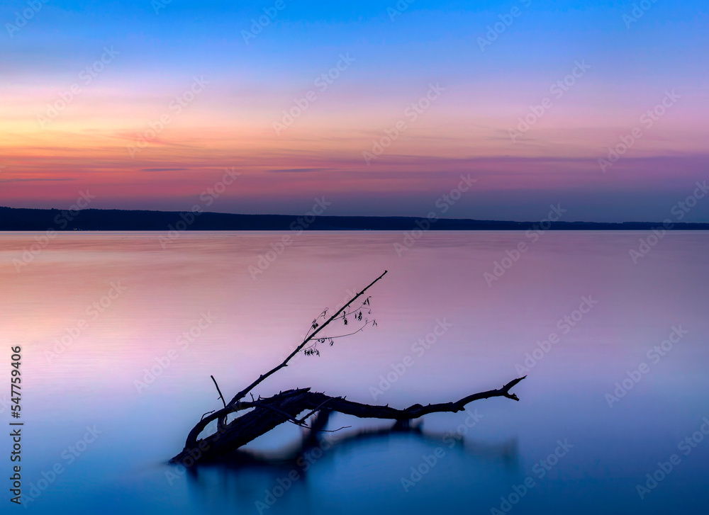 Fototapeta premium Baumstamm, Treibholz im Ammersee, Bayern, Deutschland