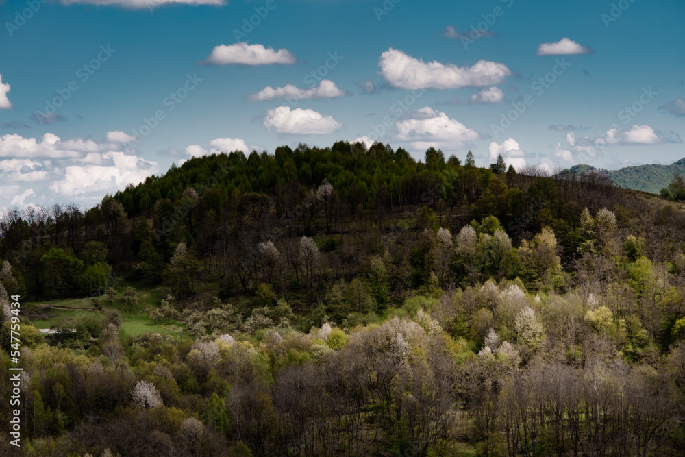 Spring nature landscape in Apuseni Mountains Romania