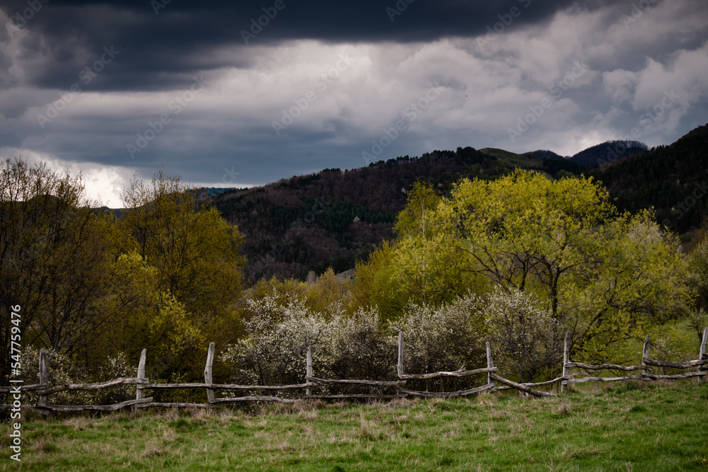 Spring nature landscape in Apuseni Mountains Romania