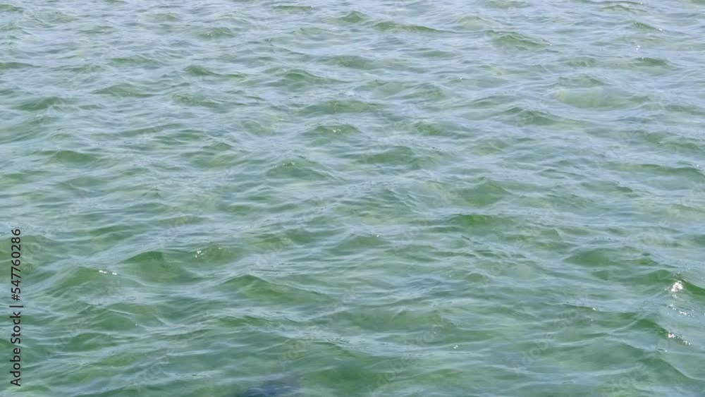 Calm water surface and sun glare on its surface, video. Water full frame. Calm water surface and sun glare on its surface, video. Water full frame.