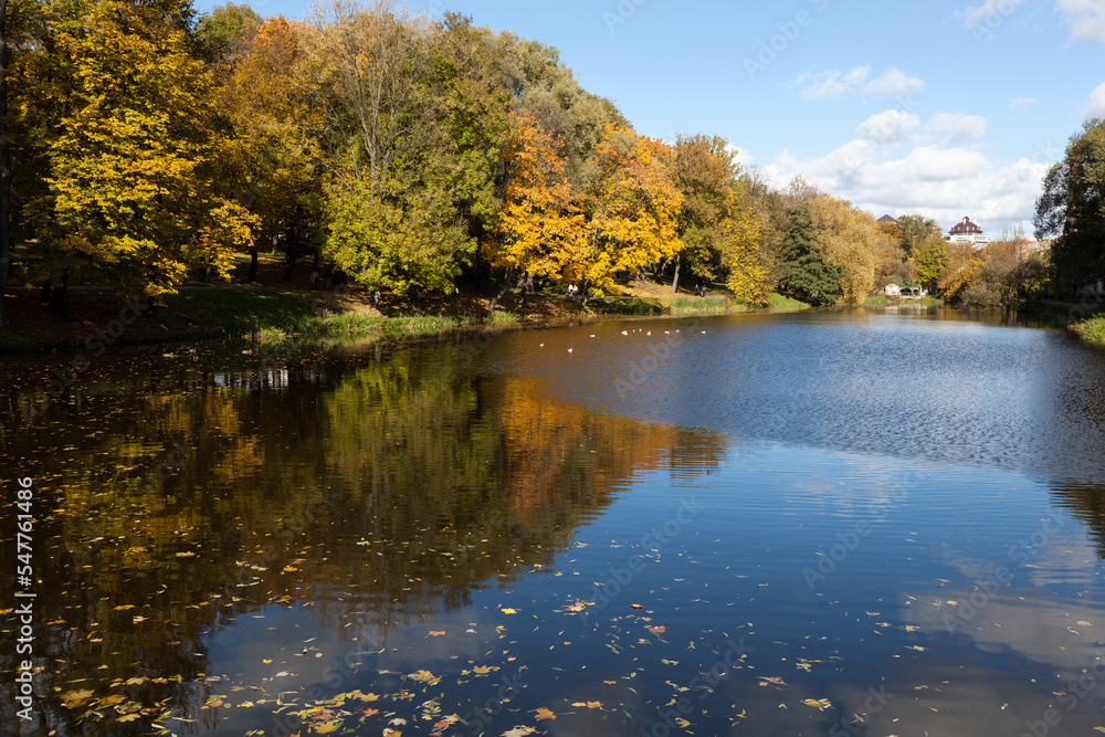 Lake with trees on the shore with yellowed foliage in autumn in sunny weather