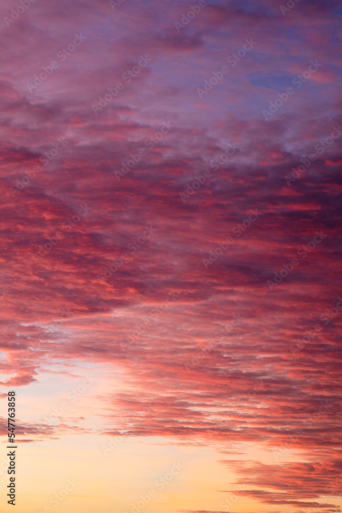 Dramatic purple sky with clouds at sunset. Vertical romantic wallpaper with violet evening sky