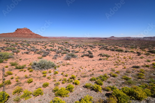 Wide, horizontal landscape of red sand desert and mountain range