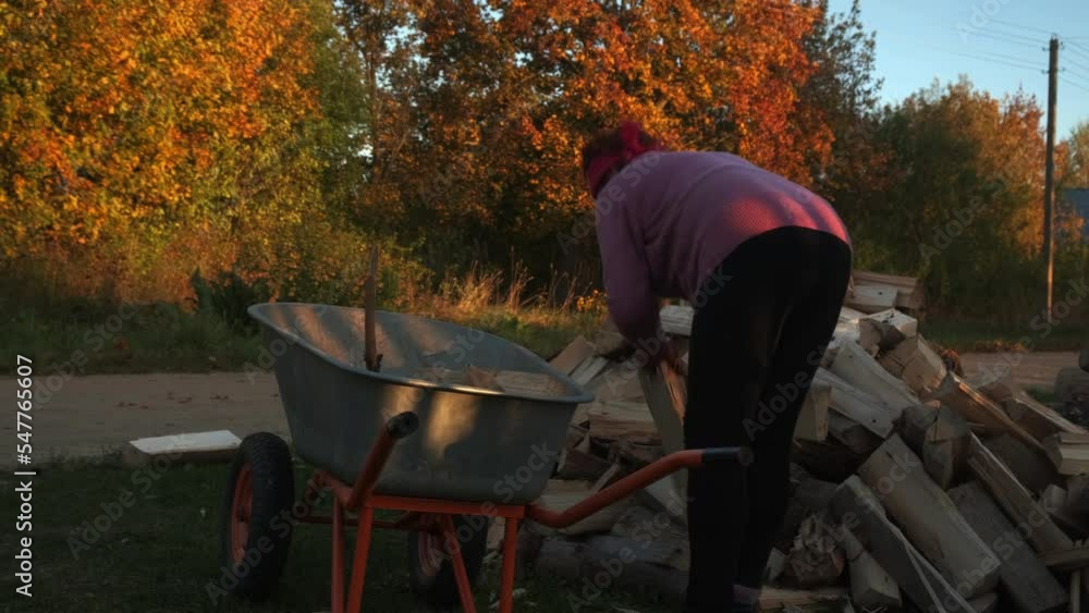a woman loads chopped logs into a cart, work in the country, summer season, preparation for winter a woman loads chopped logs into a cart, work in the country, summer season, preparation for winter