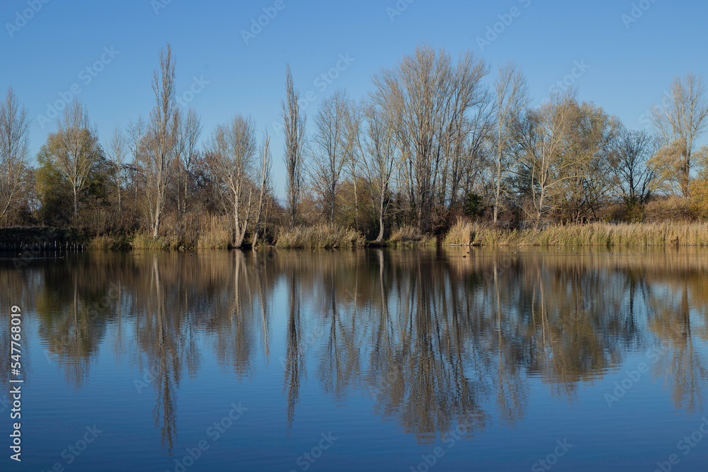 Fototapeta premium Natura