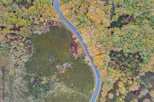 aerial view of a mountain road in autumn