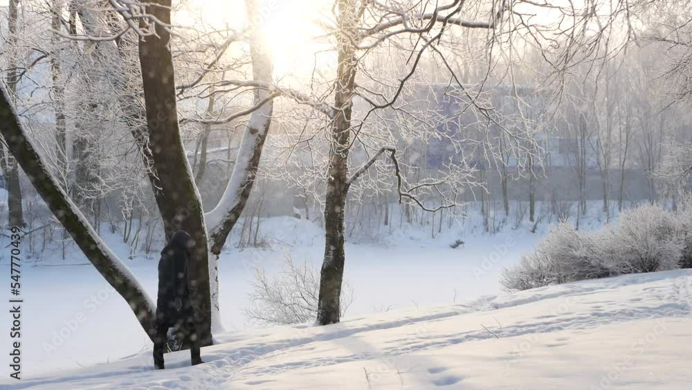 Winter landscape - a snow-covered park with beautiful trees, covered with hoarfrost. A Christmas picture - a winter forest, a sunny day in a fairy-tale park. Winter landscape - a snow-covered park with beautiful trees, covered with hoarfrost. A Christmas picture - a winter forest, a sunny day in a fairy-tale park.