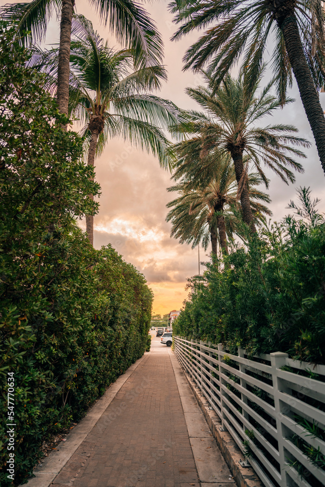 Fototapeta premium path to the beach Miami Beach hotel 