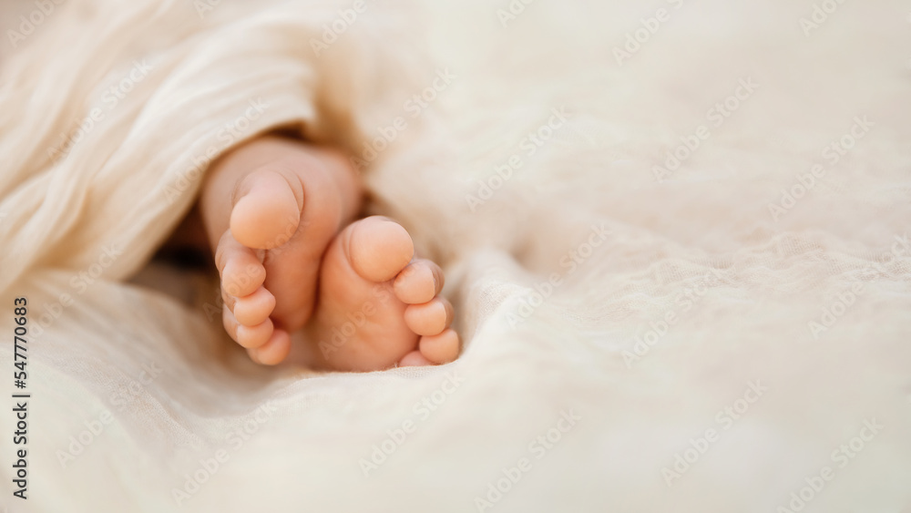 Newborn baby feet closeup on soft cream wrap in a selective focus Newborn baby feet closeup on soft cream wrap in a selective focus