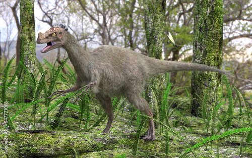 The dinosaur Ornitholestes moving through a swampy forested area in this late Jurassic scene. Dinosaur depicted with fur and feathers. photo