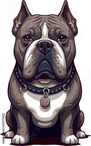 dog pitbull vector illustration