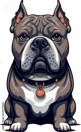 dog pitbull vector illustration