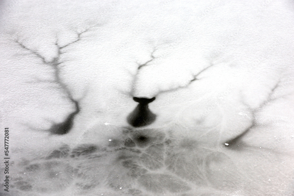Ice with cracks on lake surface. Winter season, natural background Ice with cracks on lake surface. Winter season, natural background