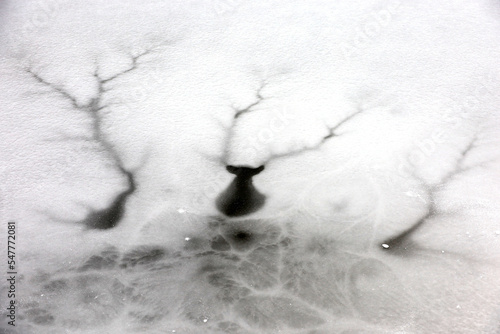 Ice with cracks on lake surface. Winter season, natural background