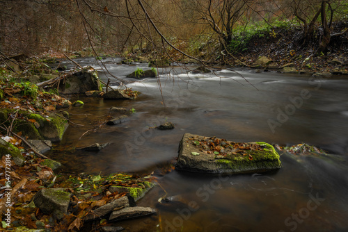 Loucka river near Tisnov town in autumn cloudy wet day photo