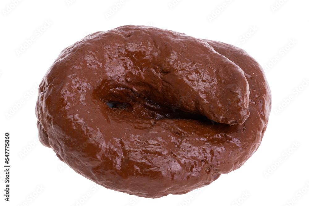 feces isolated feces isolated