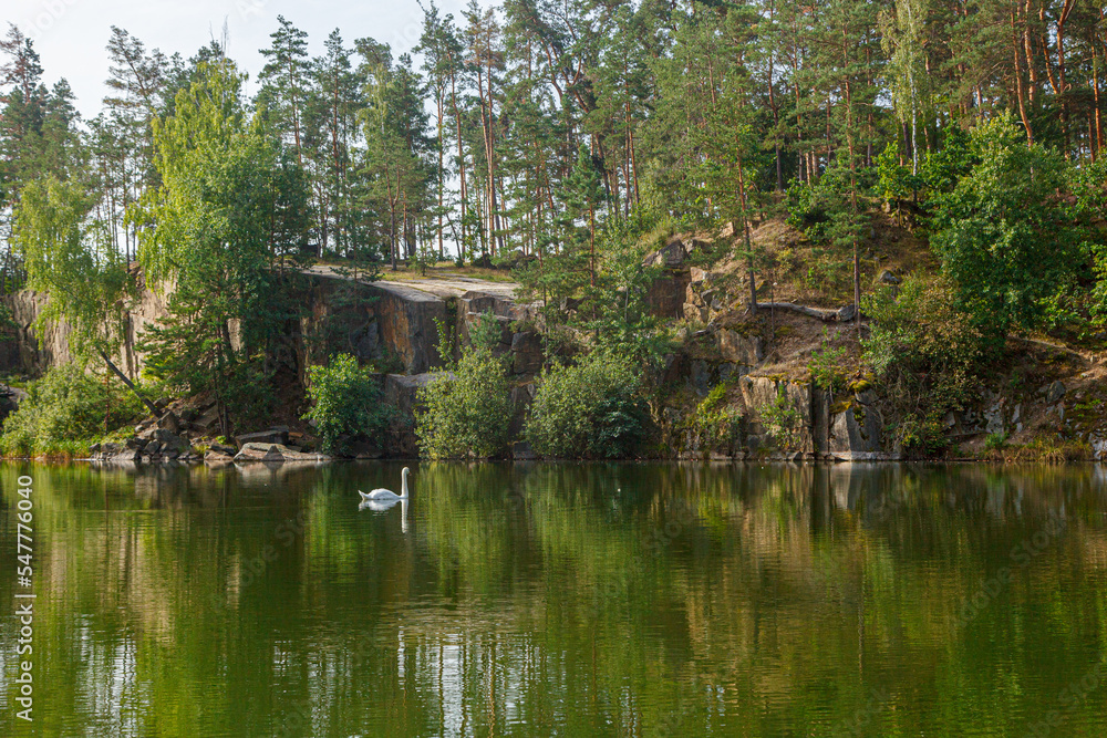 beautiful lake with a canyon on which swans swim with a blue sky