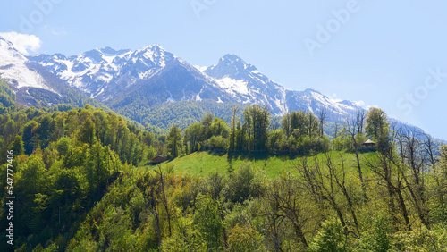 A beautiful view of the Caucasian mountains and the foothills opens when climbing to Krasnaya Polyana. The spring sun floods the green meadows in the foothills of the Caucasus. Mountain range of snow-