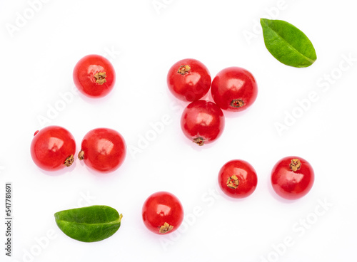 Redberries on the white background