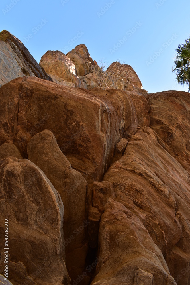 Fototapeta premium Palm Canyon, Palm Springs