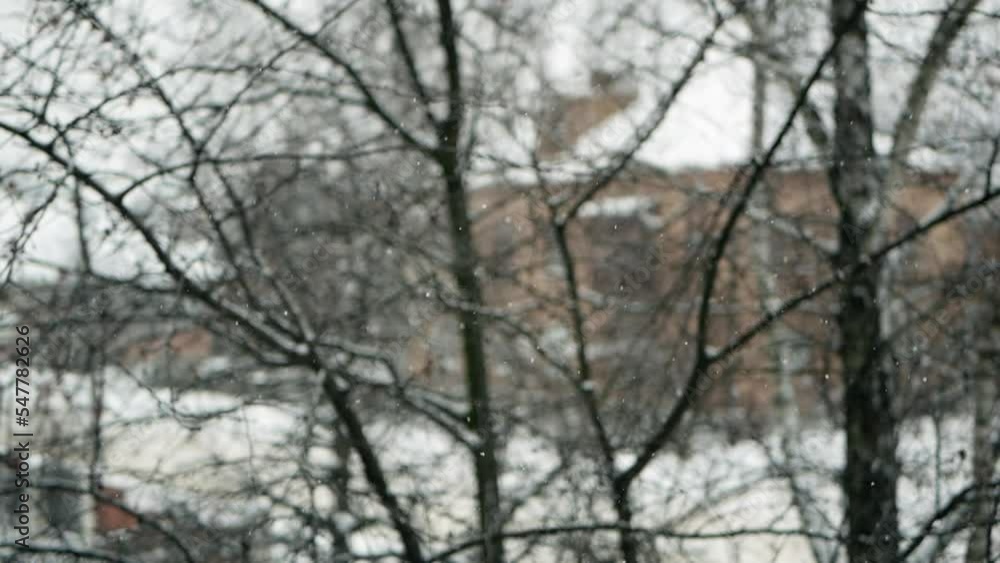 Snowfall in the winter city. Snowflakes fall on the background of trees and houses with bokeh blur Snowfall in the winter city. Snowflakes fall on the background of trees and houses with bokeh blur