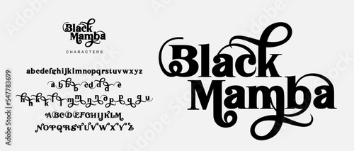 Elegant Font Uppercase Lowercase . Classic Lettering Minimal Fashion Designs. Typography modern serif fonts regular decorative vintage concept. vector illustration
