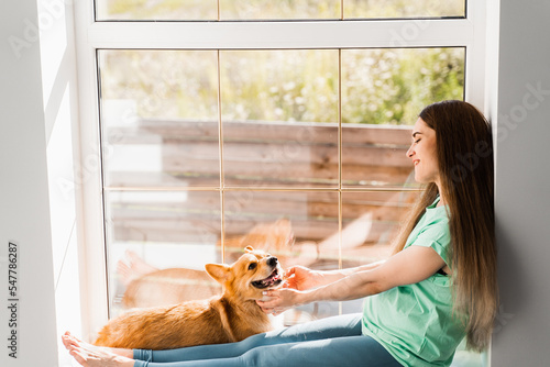 Pregnant girl and Corgi dog. Girl petting and playing with Welsh Corgi Pembroke dog on windowsill at home. Lifestyle with domestic pet.