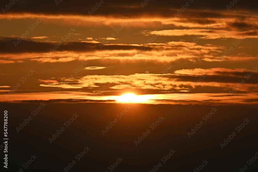 A glimmering spectacle in the silhouette of the sunrise morning glow. Natural background material.