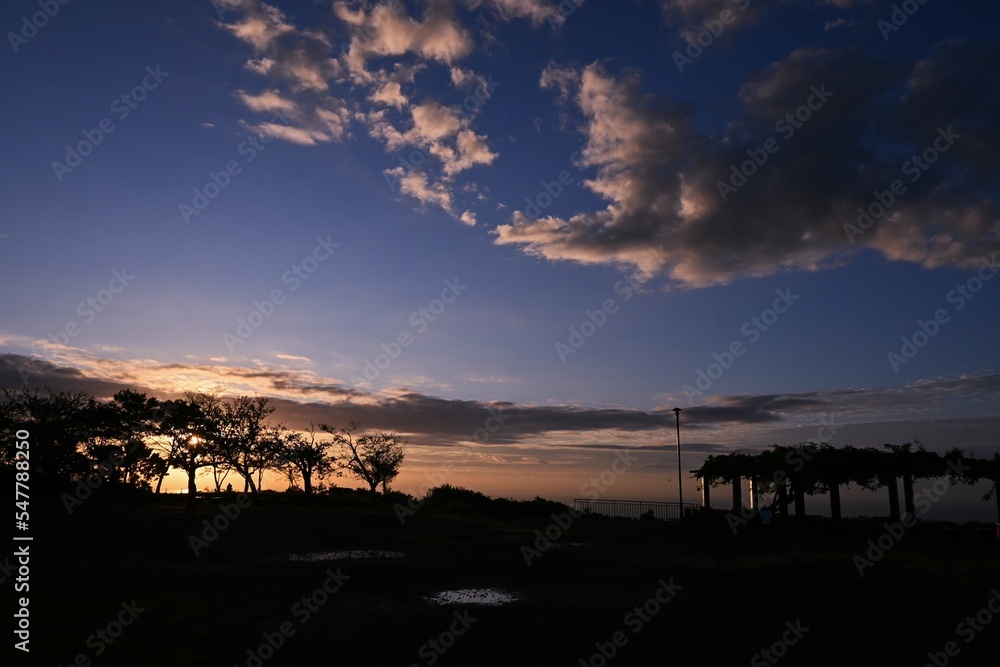 A glimmering spectacle in the silhouette of the sunrise morning glow. Natural background material.
