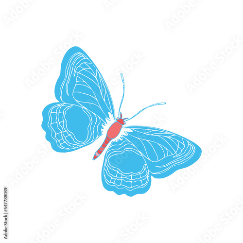 Diaethria clymena butterfly vector icon with white background photo