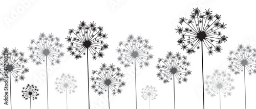 DI 17_03_04.1 - BnW - Dandelion 02.4
