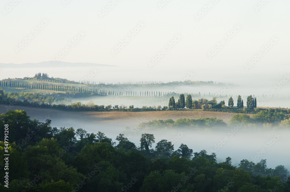 Fototapeta premium Toskańskie pola we mgle