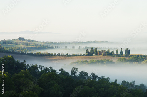 Toskańskie pola we mgle