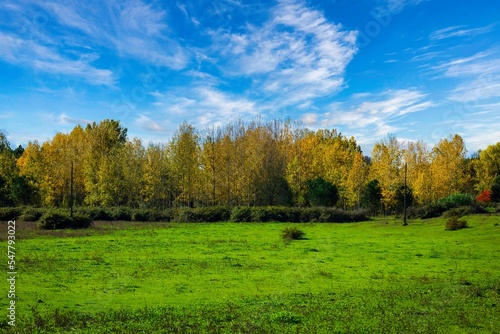 Autumn landscape with coloured trees in the green fields and blueskies. Countryside of Ribatejo in the portuguese village of Chamusca - Portugal