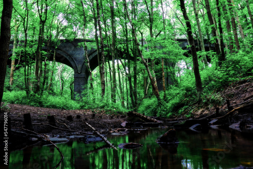 old stone bridge in the forest  photo