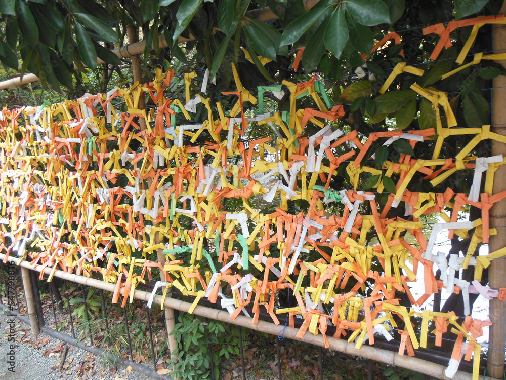 Fototapeta premium お御籤