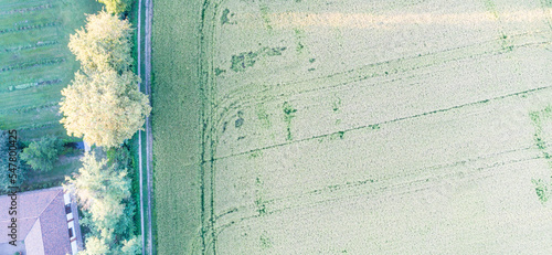 Aerial drone photo of a countryside empty field