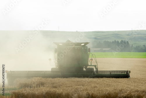 Wheat Harvest, combine harvester working on a wheat field under clear sky near Sidney, MT USA. © Gregory Borgstahl