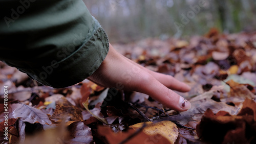 Wallpaper Mural Mujer tocando el suelo en otoño. Conexión con la naturaleza Torontodigital.ca