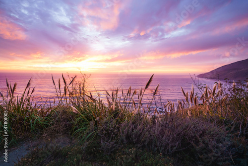 A beautiful pink sunset on the Big Sur coastline of California Central Coast. Colorful cloudy sky, quiet Pacific ocean, and native California's plants on the beach